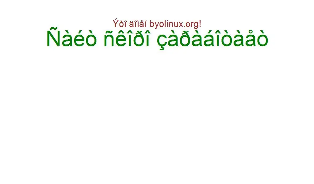 Paginas