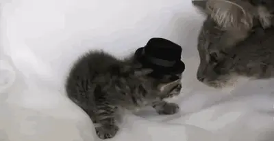 son