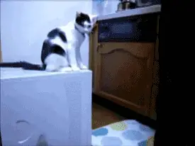 son