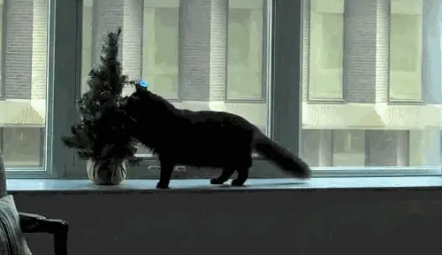 Los gatitos son trolls