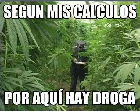 humor