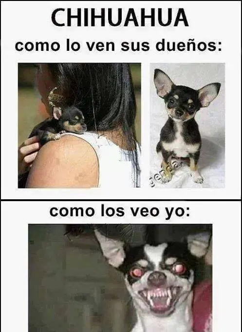 reir