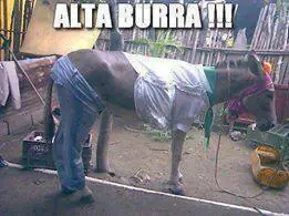 +5 si alguna te hace reir