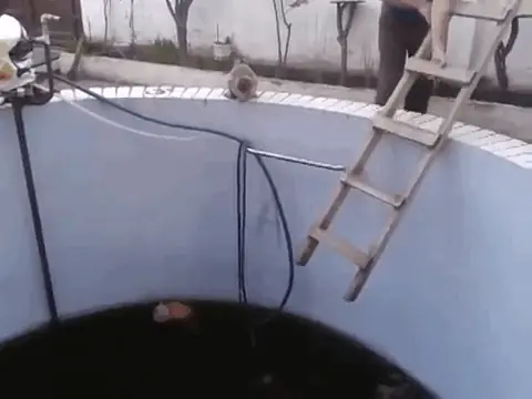 Karma Instantáneo