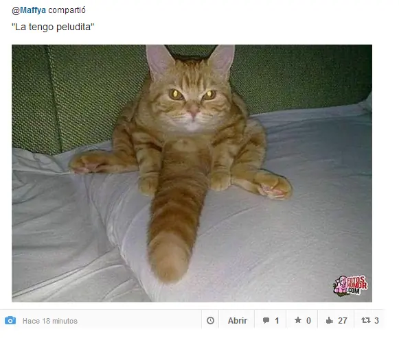 comunista