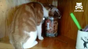karma