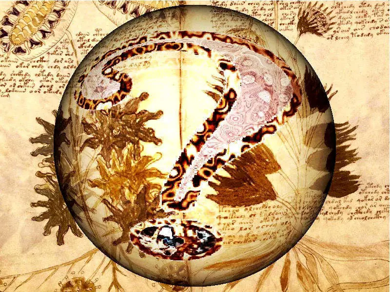 20  libros más bizarros del mundo