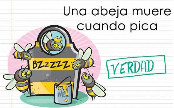 mitos