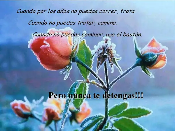 reflexion
