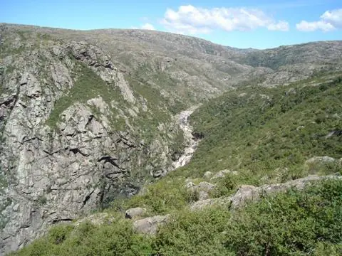 ayuda