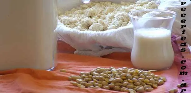Leche de soja casera