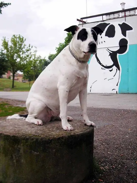 Cuando fb pretende ser gracioso....!    Y, una sonrisa te sa