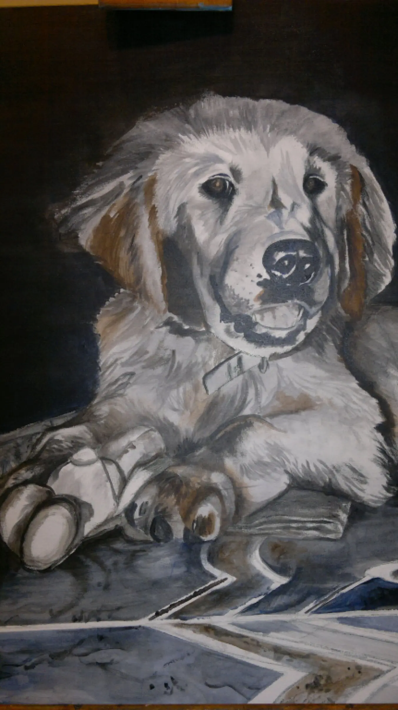 perro