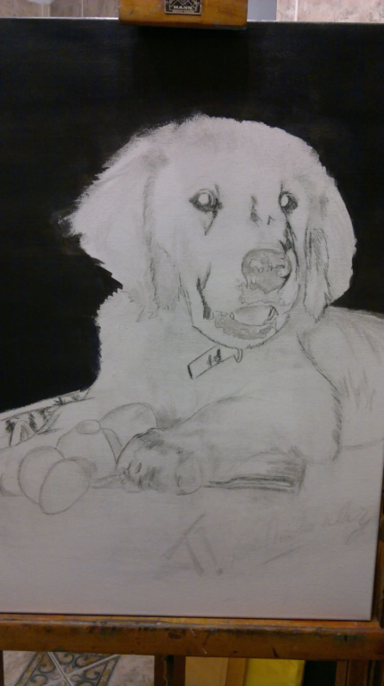 perro