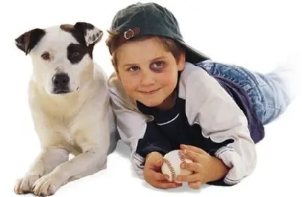 perros