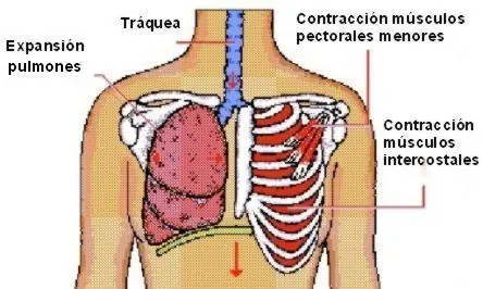 sistema