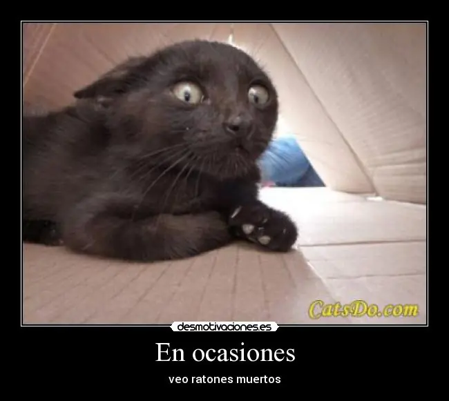 imagenes de desmotivaciones parte 2