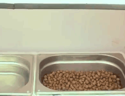 reciclar
