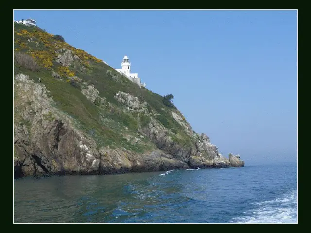sark