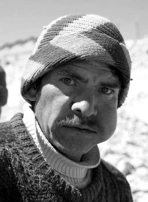 La Mafia de los Cocacoleros