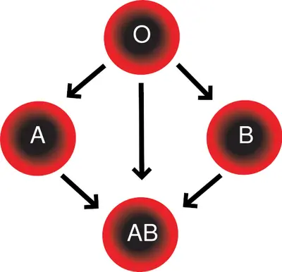 Saber de que grupos sos... te puede salvar la vida