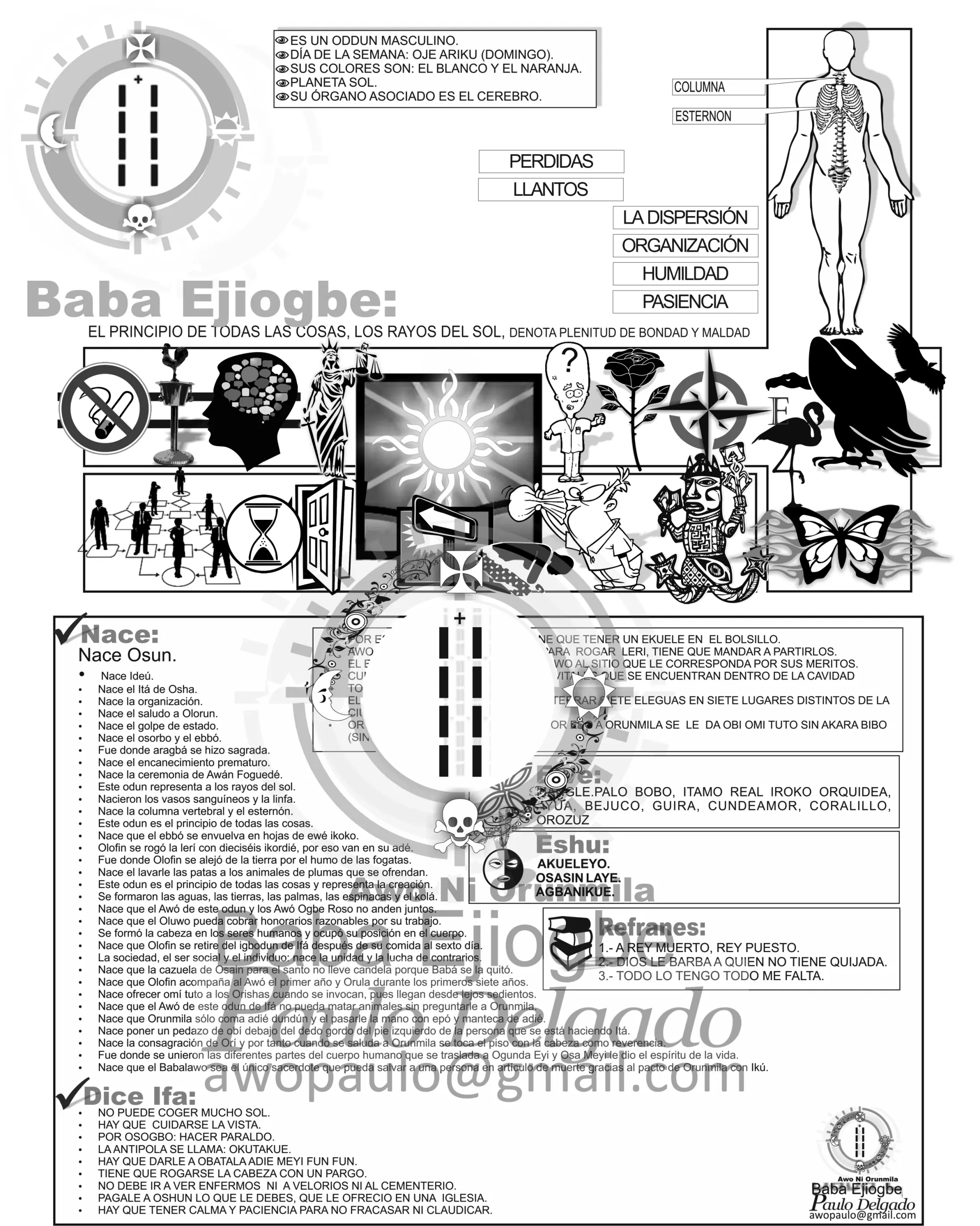 Ifa Grafia
