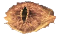 mordor
