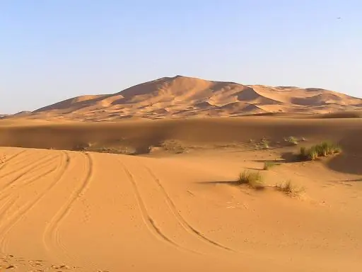 Cuento Propio - Podria Alcanzarlas ?