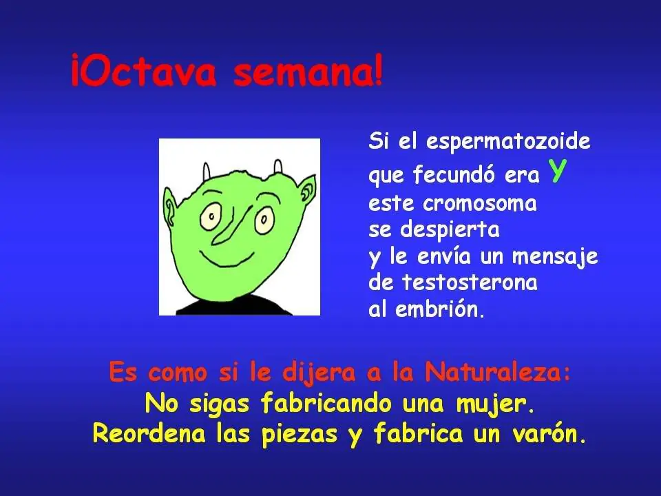 celulas