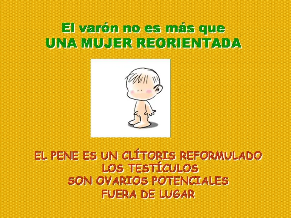 evolucion