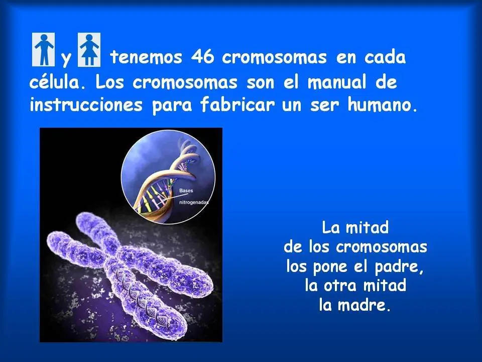 evolucion