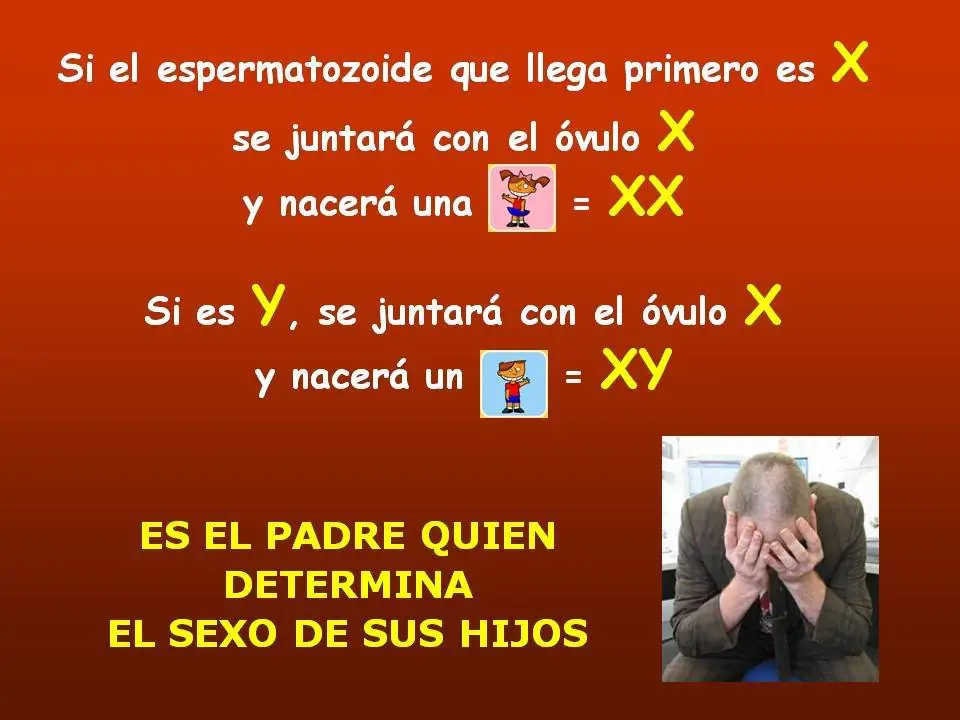 tetillas