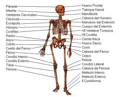 Che lince, te pusiste a pensar lo que sos? Admirable y unico
