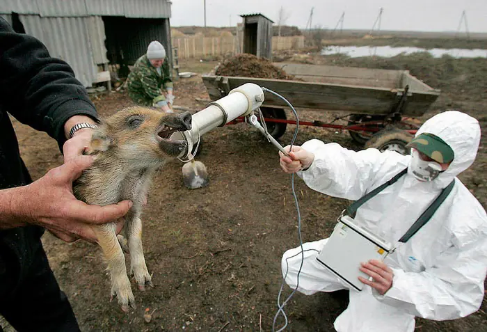 contaminacion ambiental