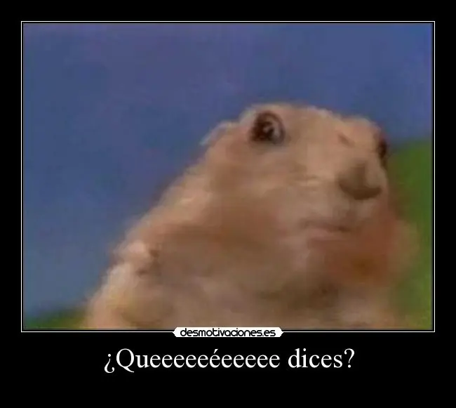 Fui a sacar el registro y te lo cuento