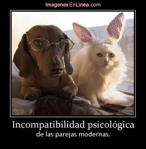 humor