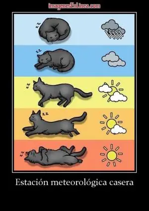 logica