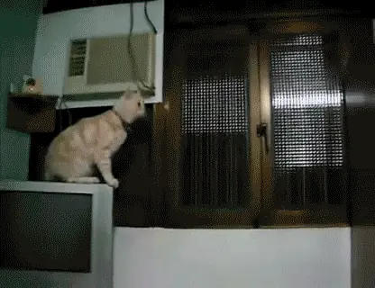 humooor
