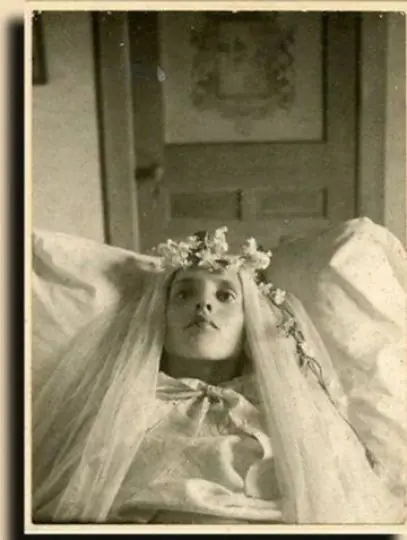fotos