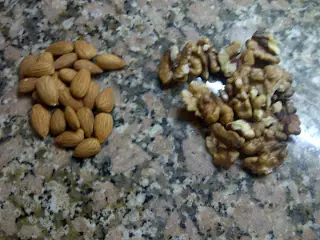 tragos