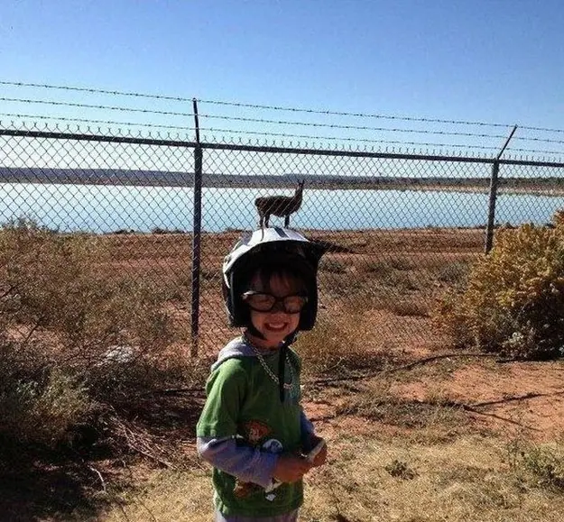 tendras que ver dos veces