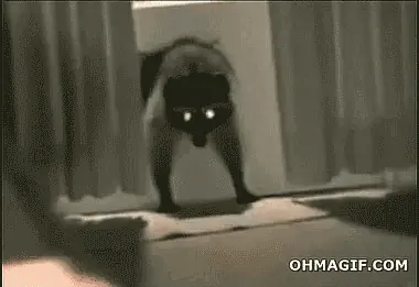 Hola