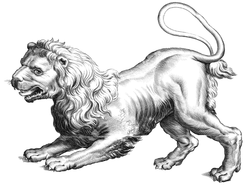 bestiario
