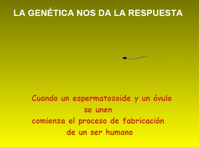 Data