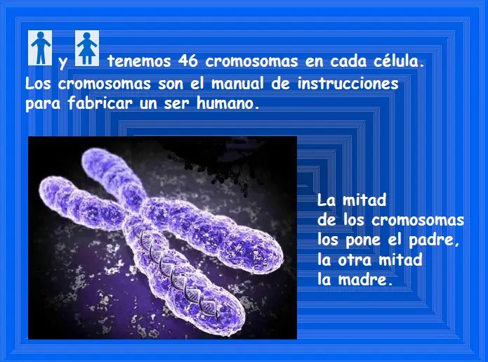 Por qué los hombres tenemos tetillas? (imperdible)