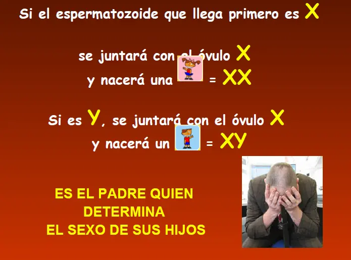 tetillas