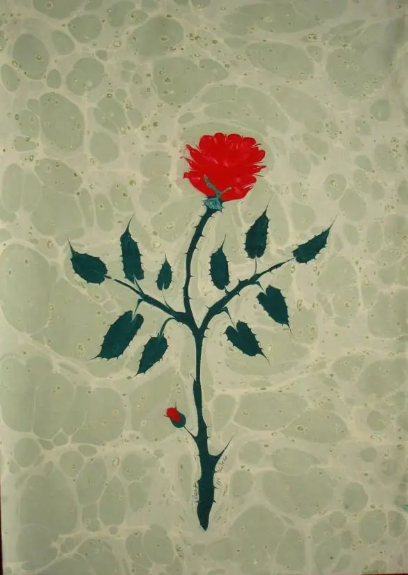 Ebru: el arte de pintar sobre el agua.