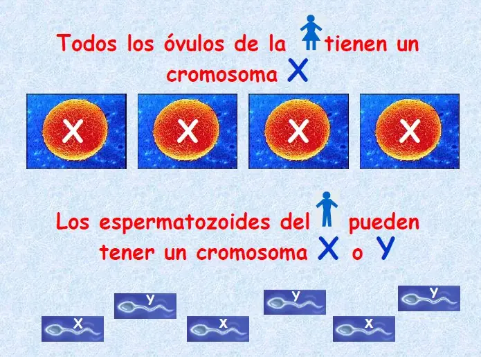 hombres