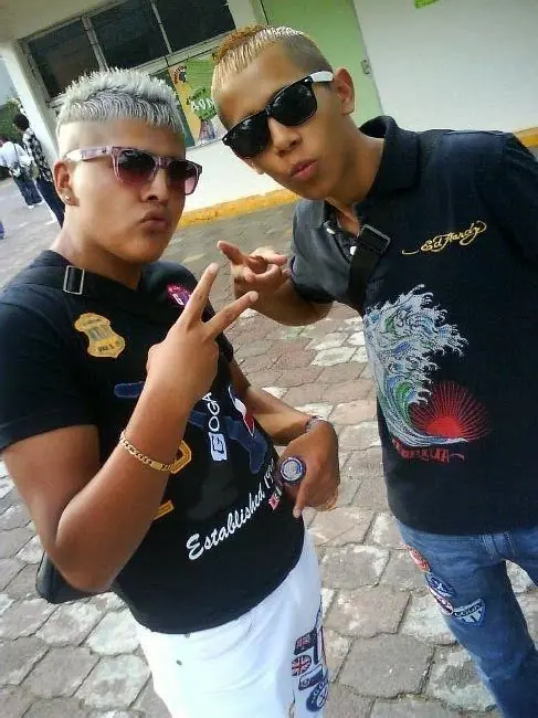 las peluqueras tal vez los odian (humor en imágenes)