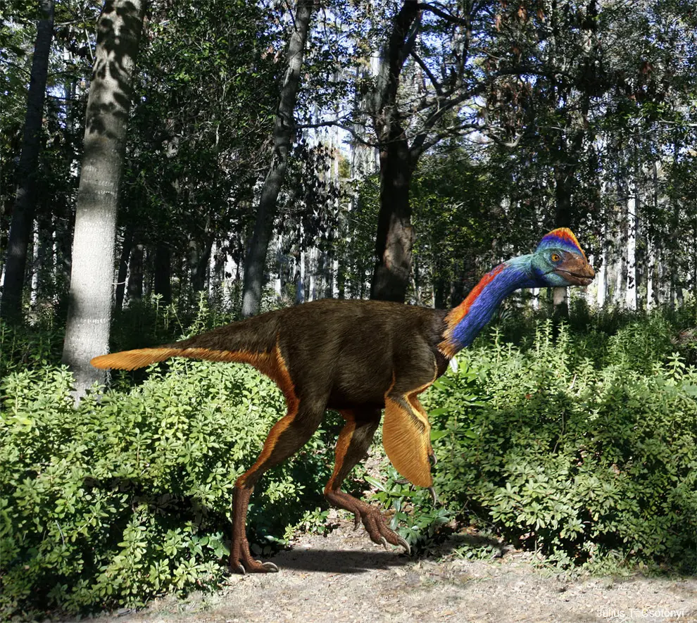 Viajar al pasado? 12 criaturas que te quitarán las ganas!